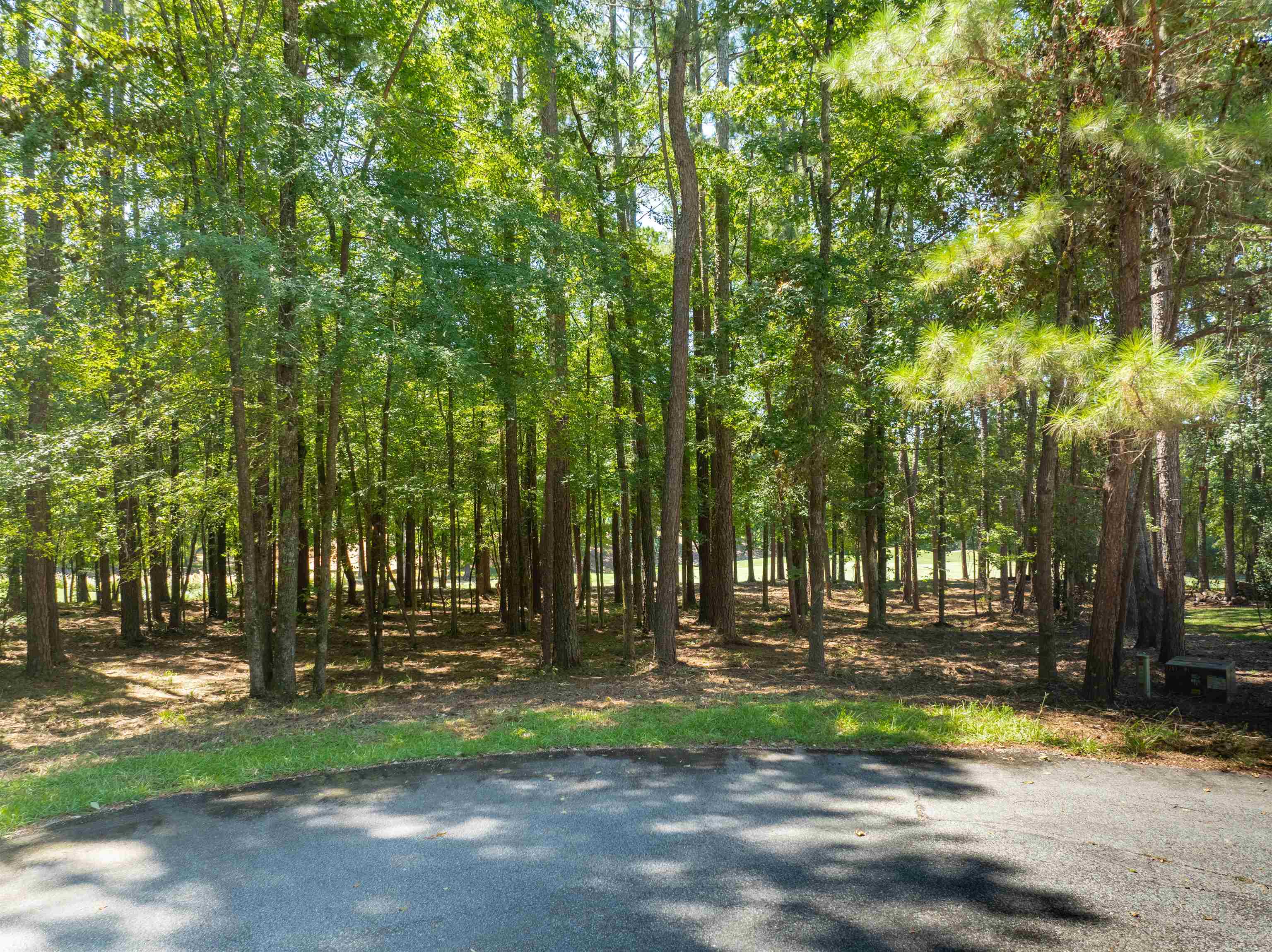 1011 ANCHOR BAY TRAIL
