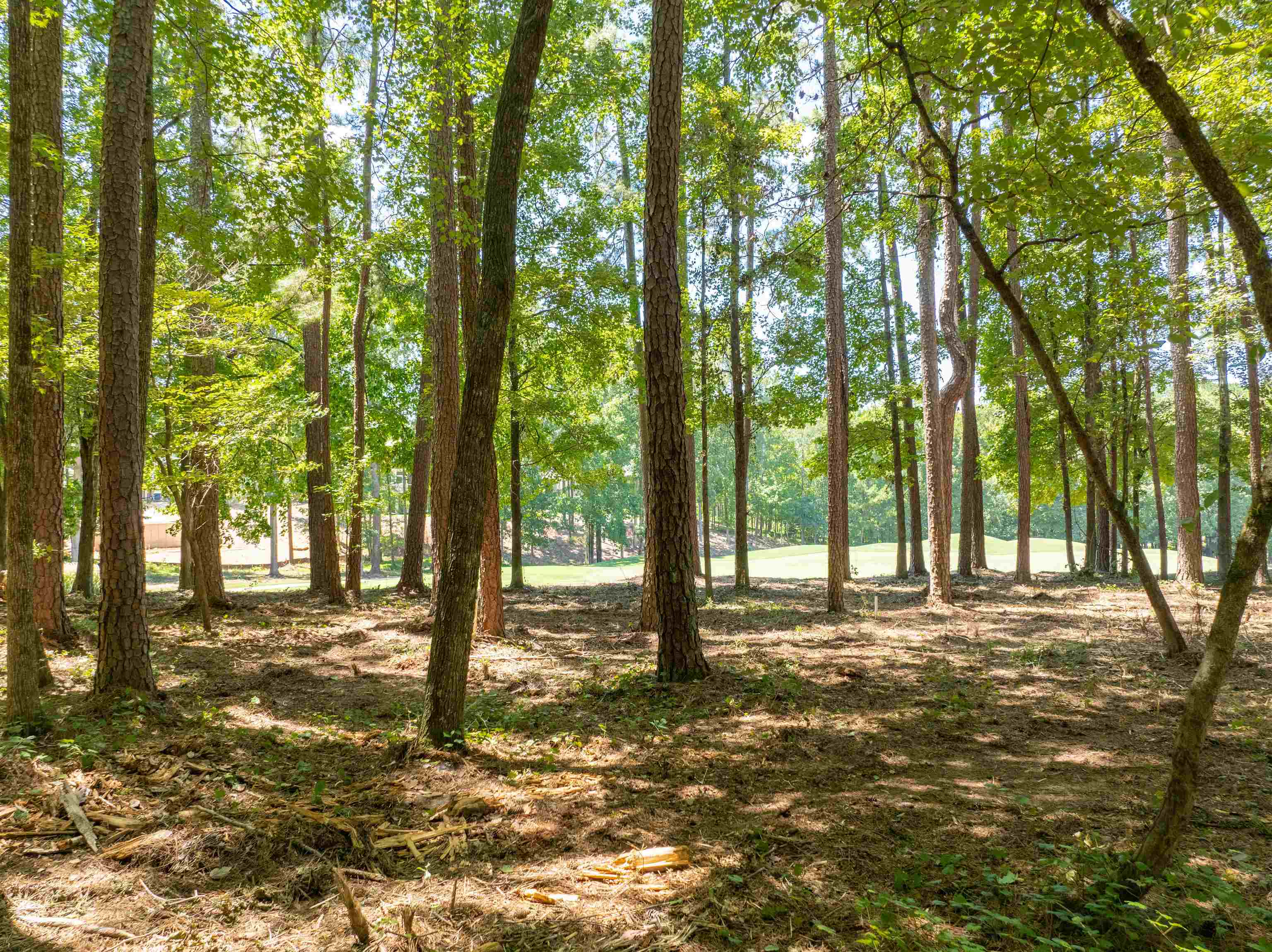 1011 ANCHOR BAY TRAIL
