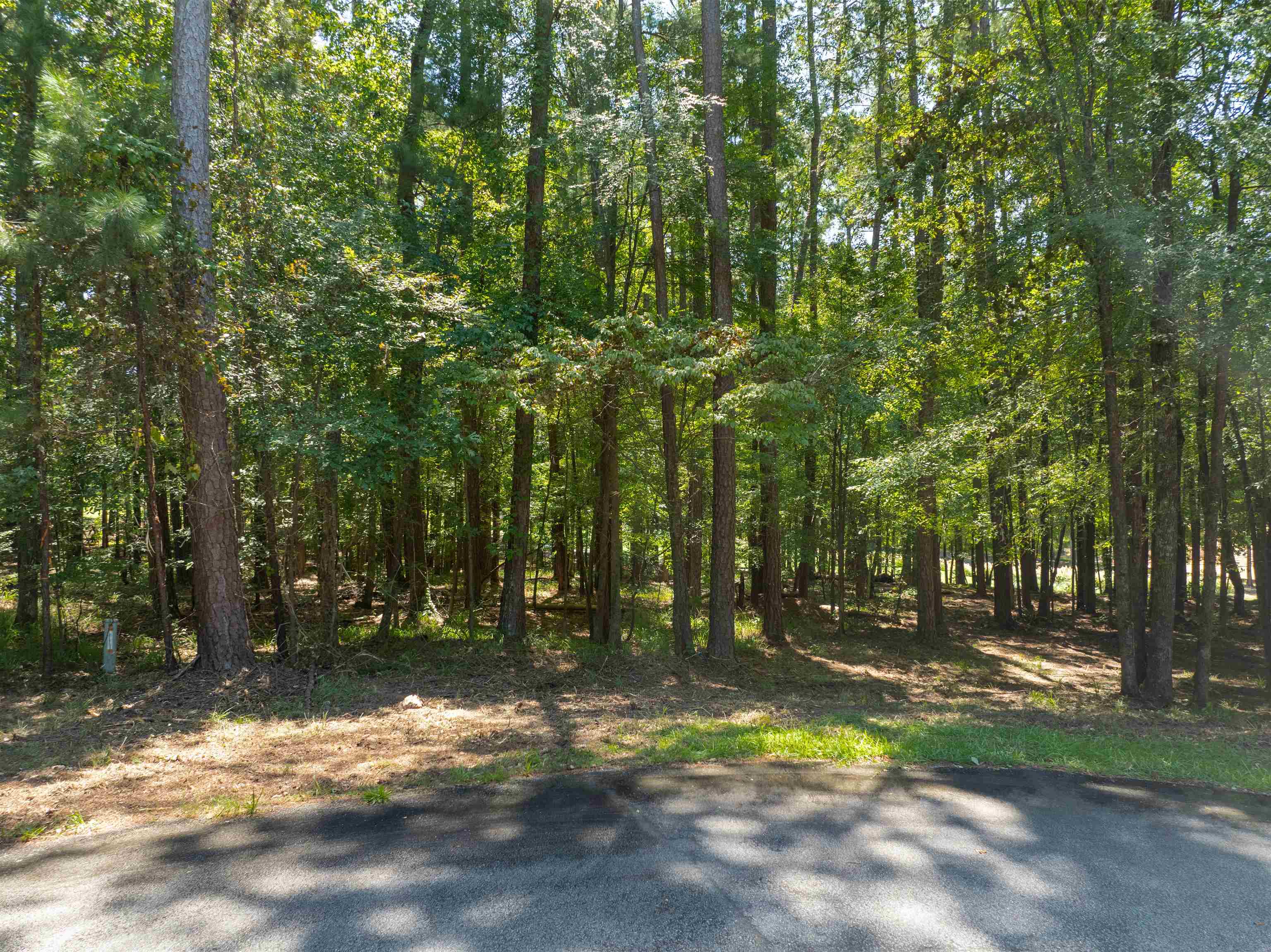 1011 ANCHOR BAY TRAIL