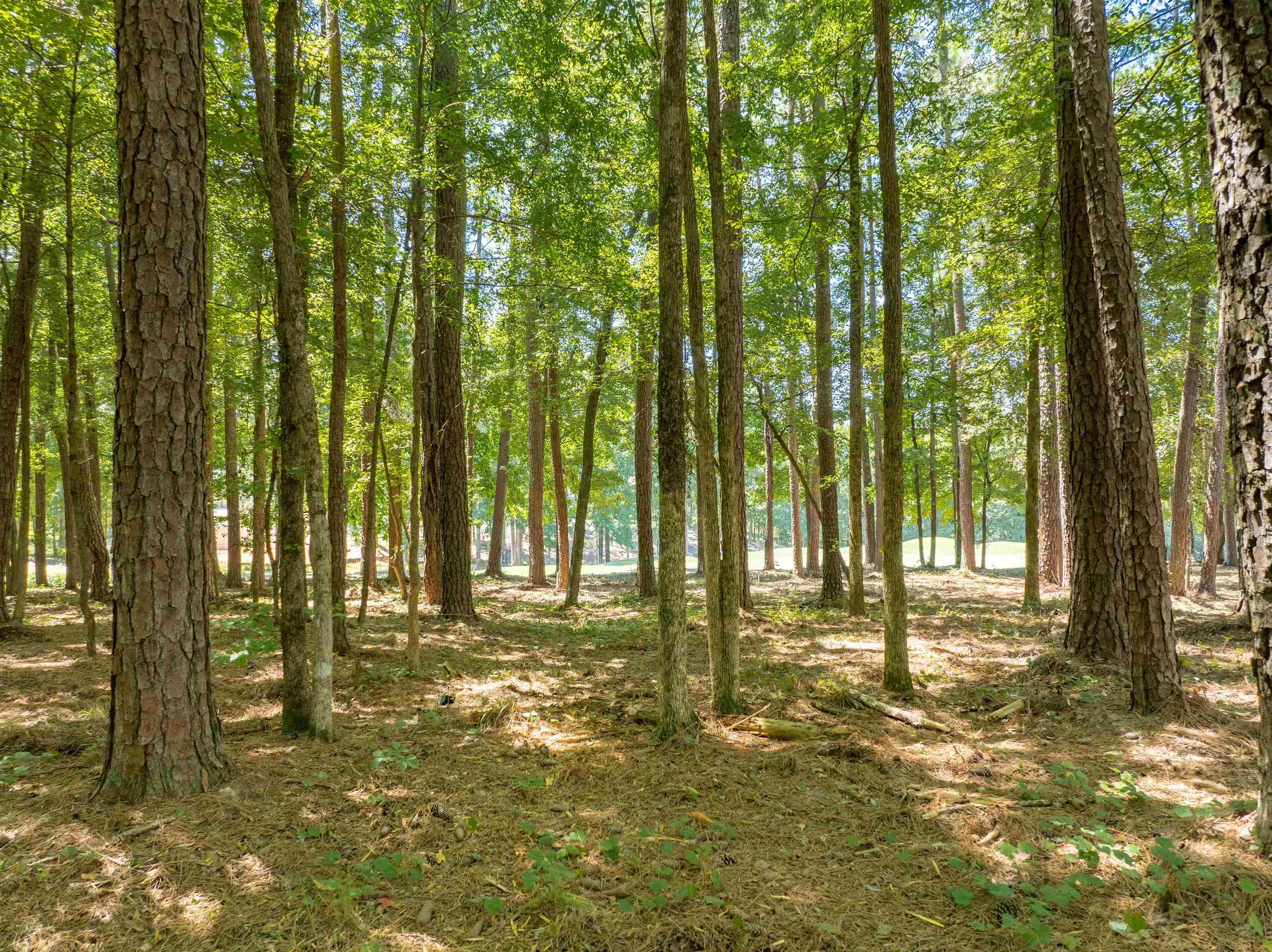 1011 ANCHOR BAY TRAIL