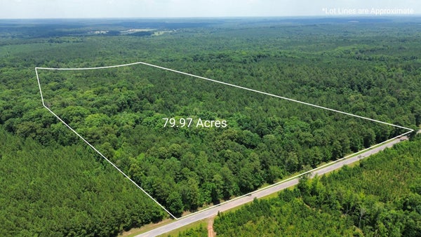 14 TURNER TRL, ARNOLDSVILLE, GA 30619 - Image aa89b53af11eb274f51138e63eda7276/413280192