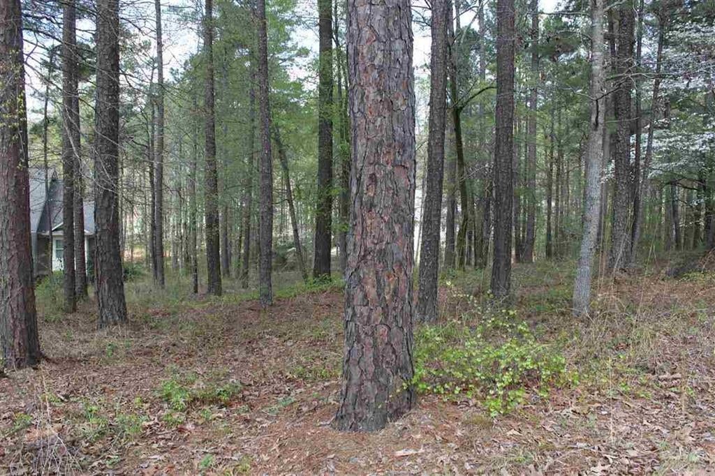1271 PLANTERS TRAIL