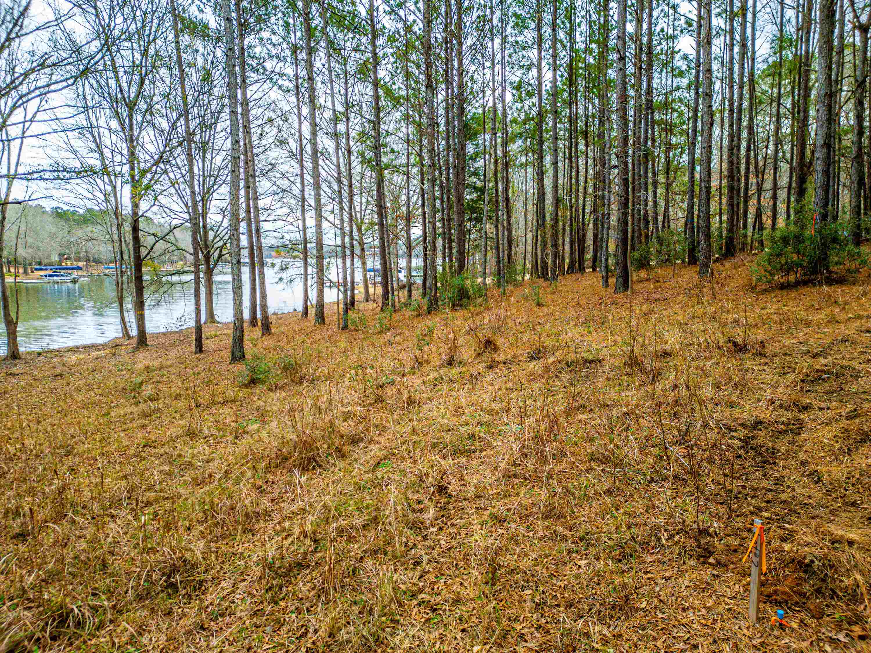 Lot 8 COVEY DRIVE