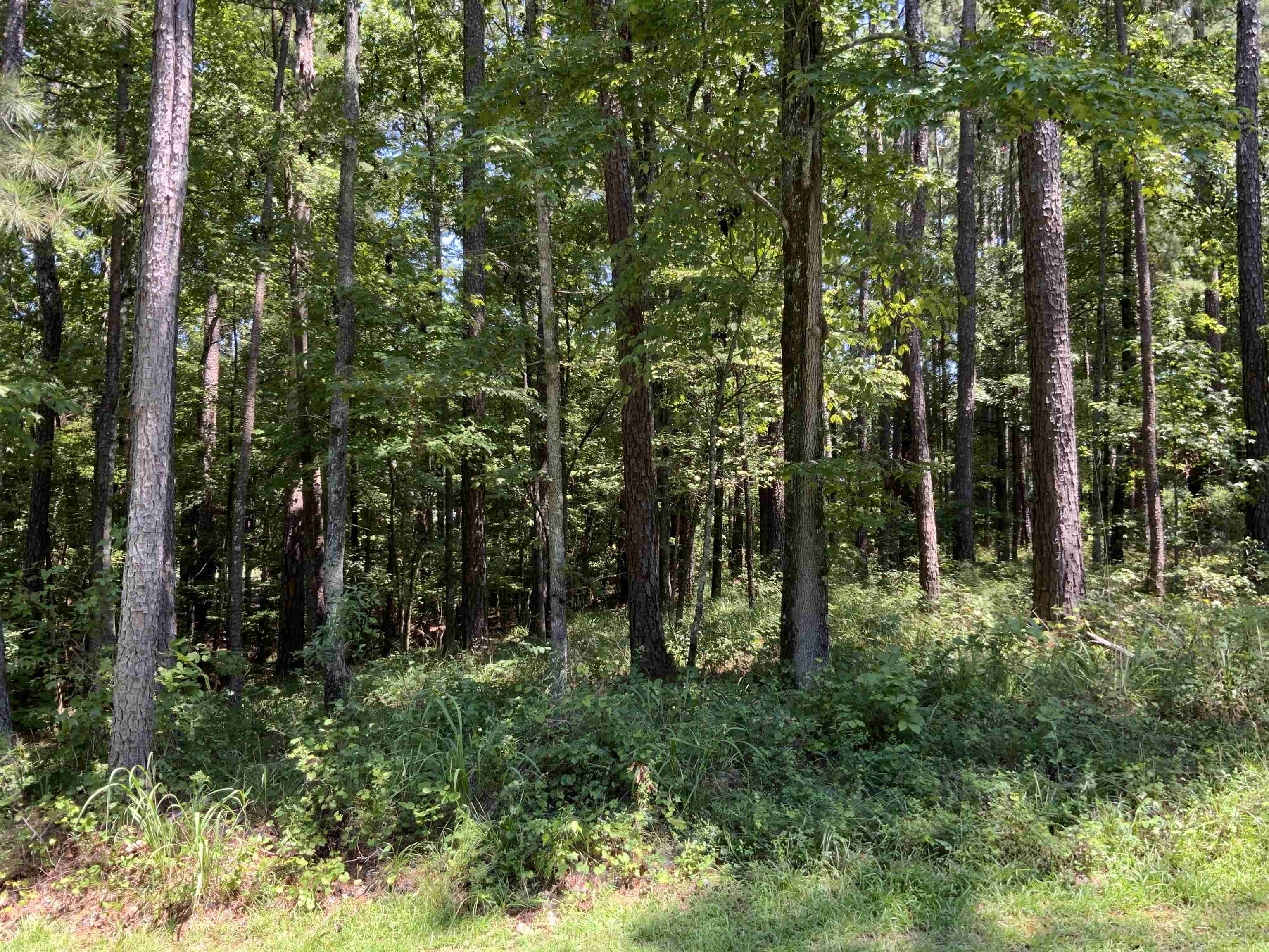 1101 ANCHOR BAY CIRCLE