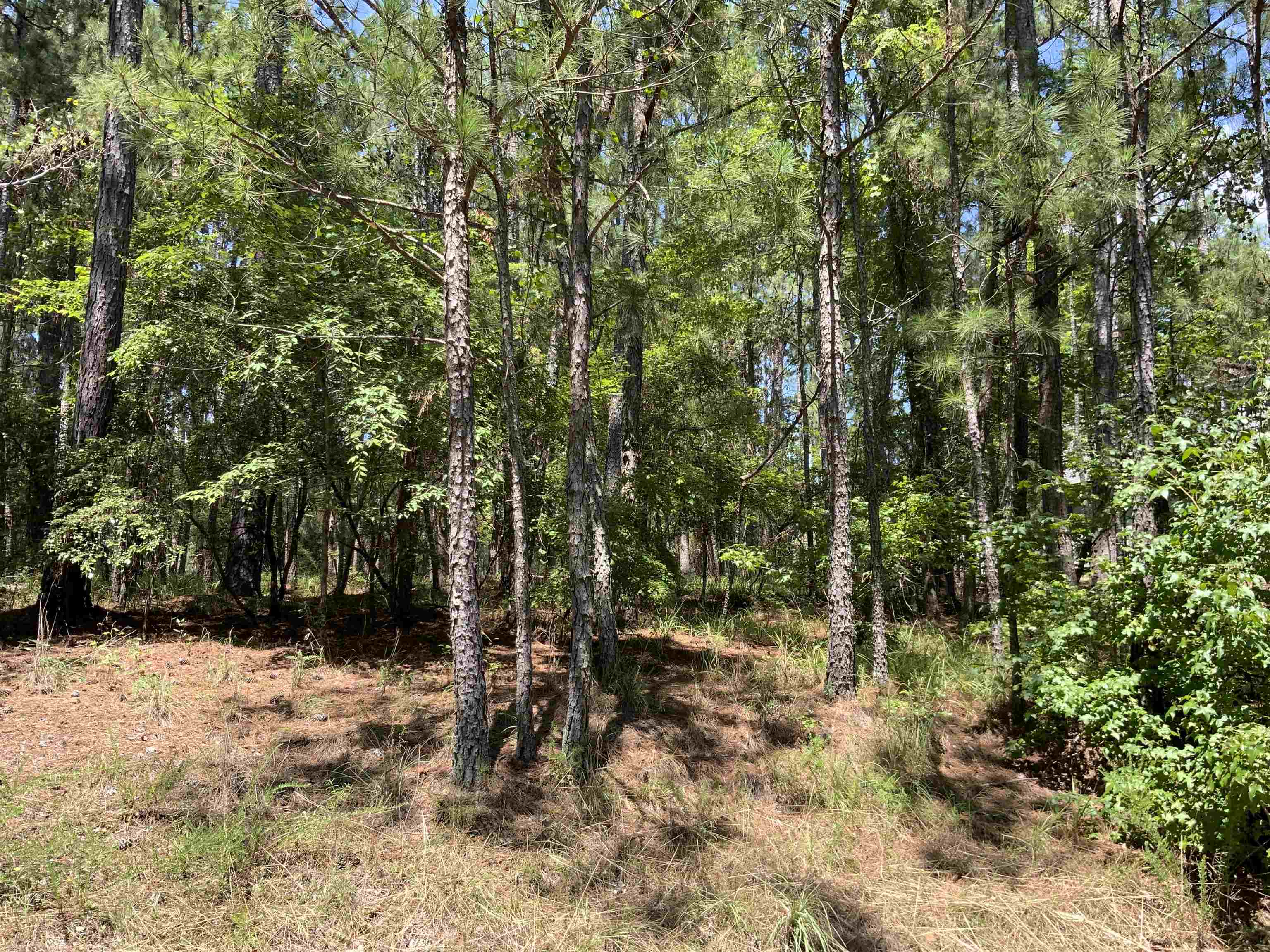 1101 ANCHOR BAY CIRCLE