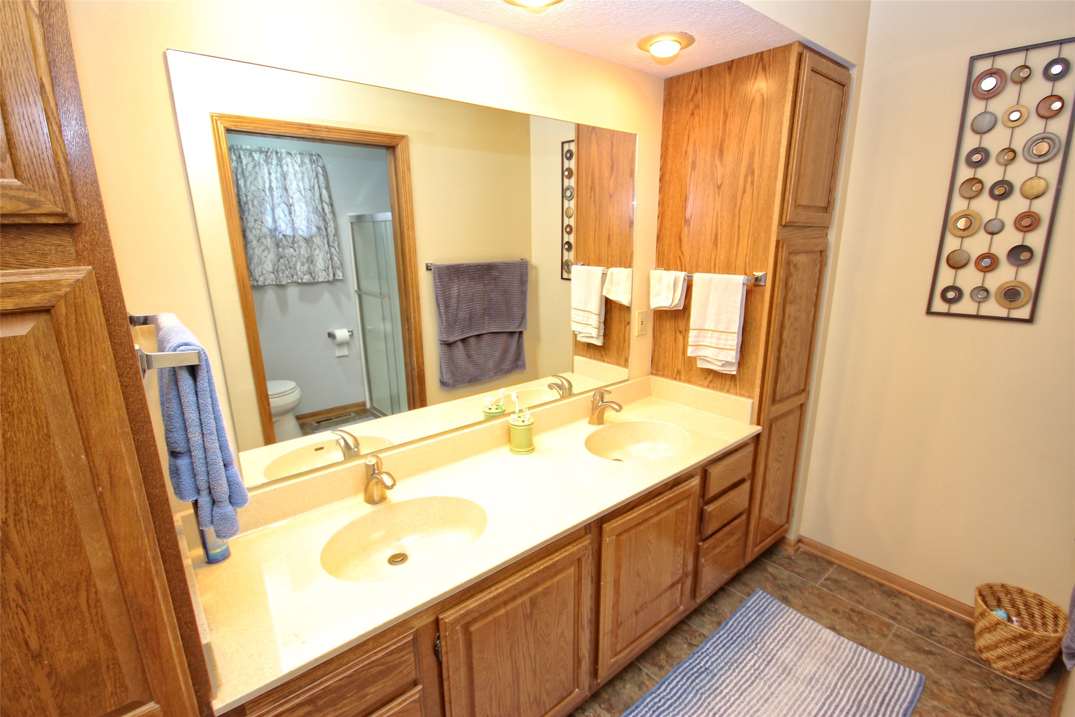 5903 Aspen Circle, Johnston, Iowa image 27