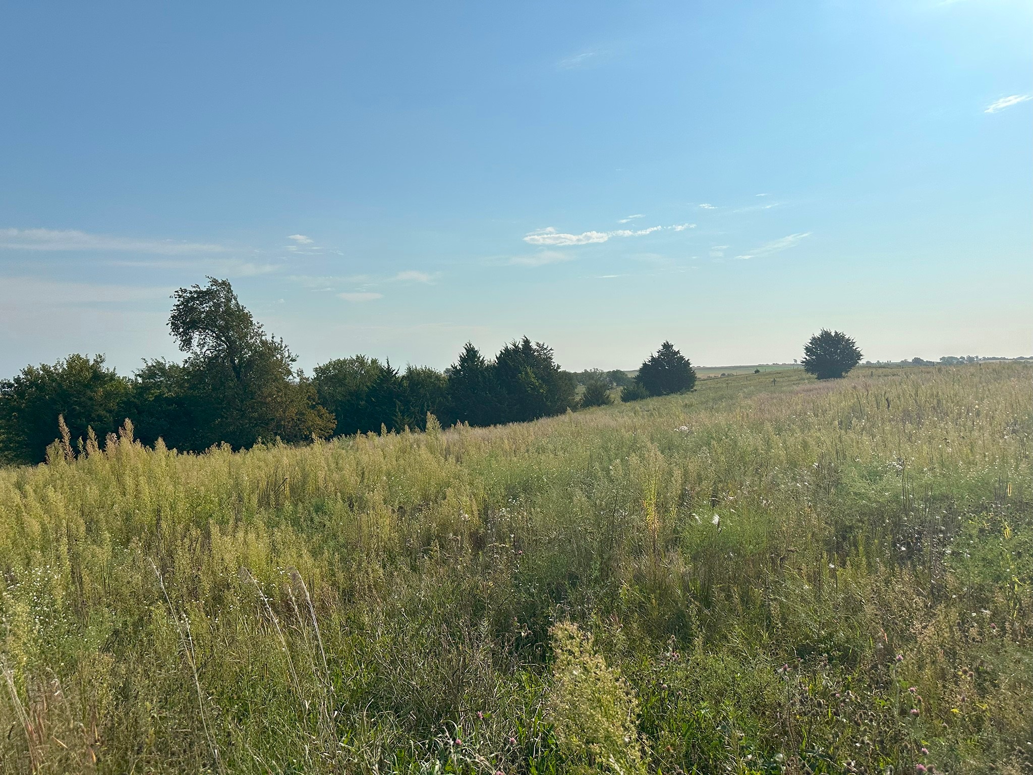 5527 Fairview Lane, Mingo, Iowa image 8