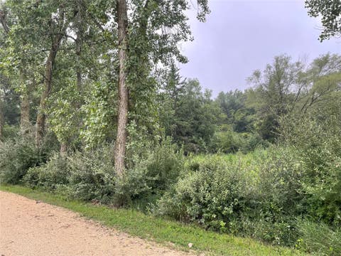 Vacant Land For Sale - 4213 Bluegrass Drive<br/> Guthrie County, Panora, IA 50216