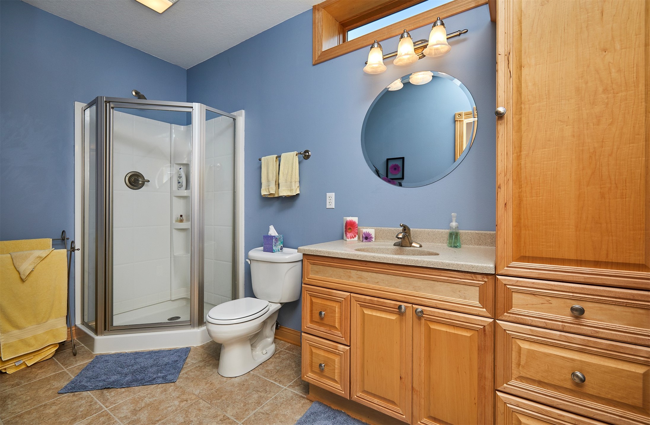 6709 Cheldon Court, Johnston, Iowa image 26