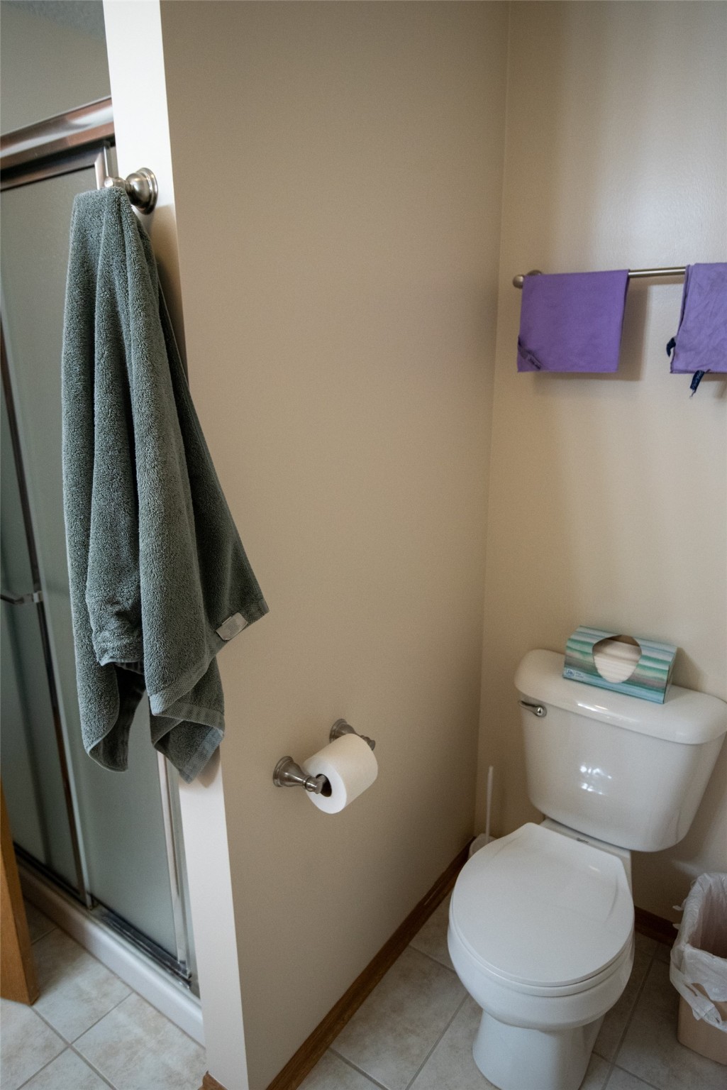 3221 SE Turnberry Drive, Ankeny, Iowa image 13