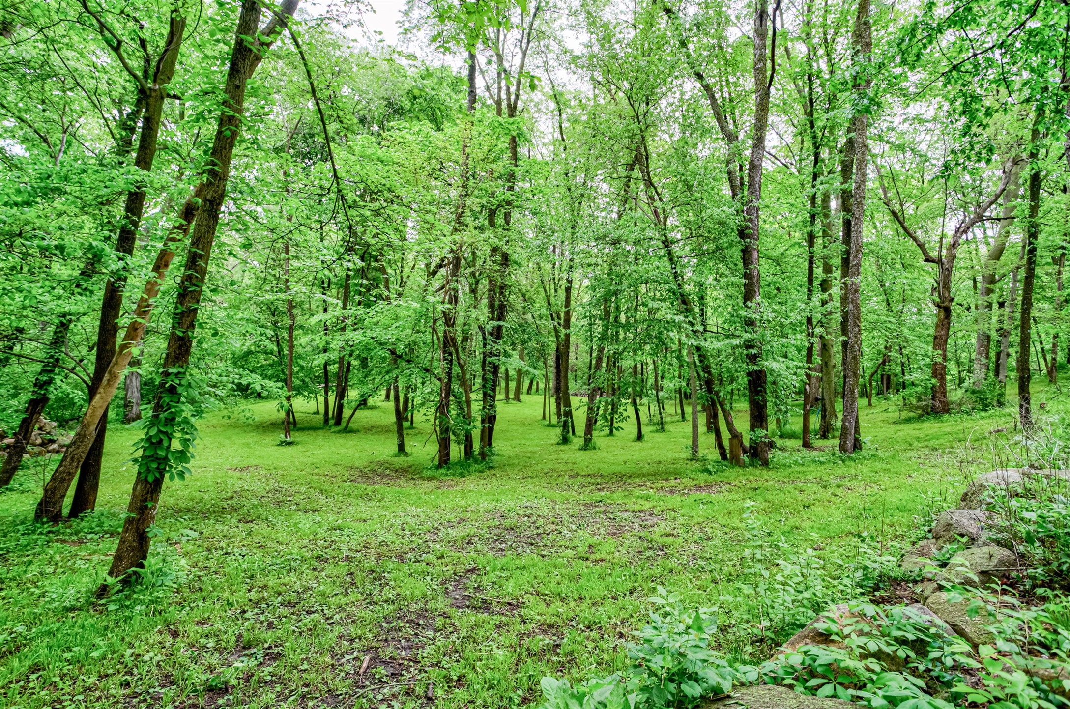 12641 Oakview Heights Drive, Story City, Iowa image 6