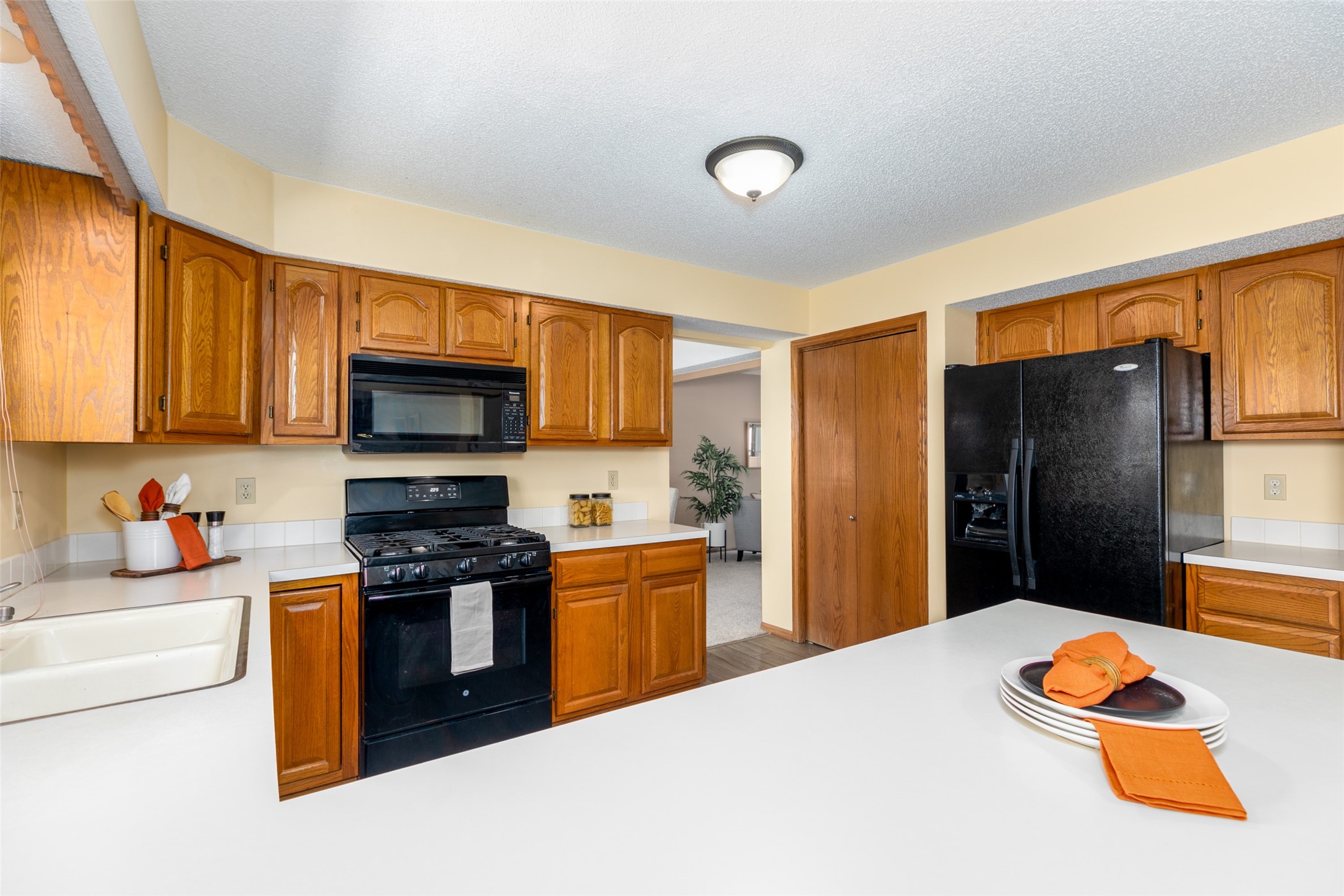 4015 98th Street, Urbandale, Iowa image 9