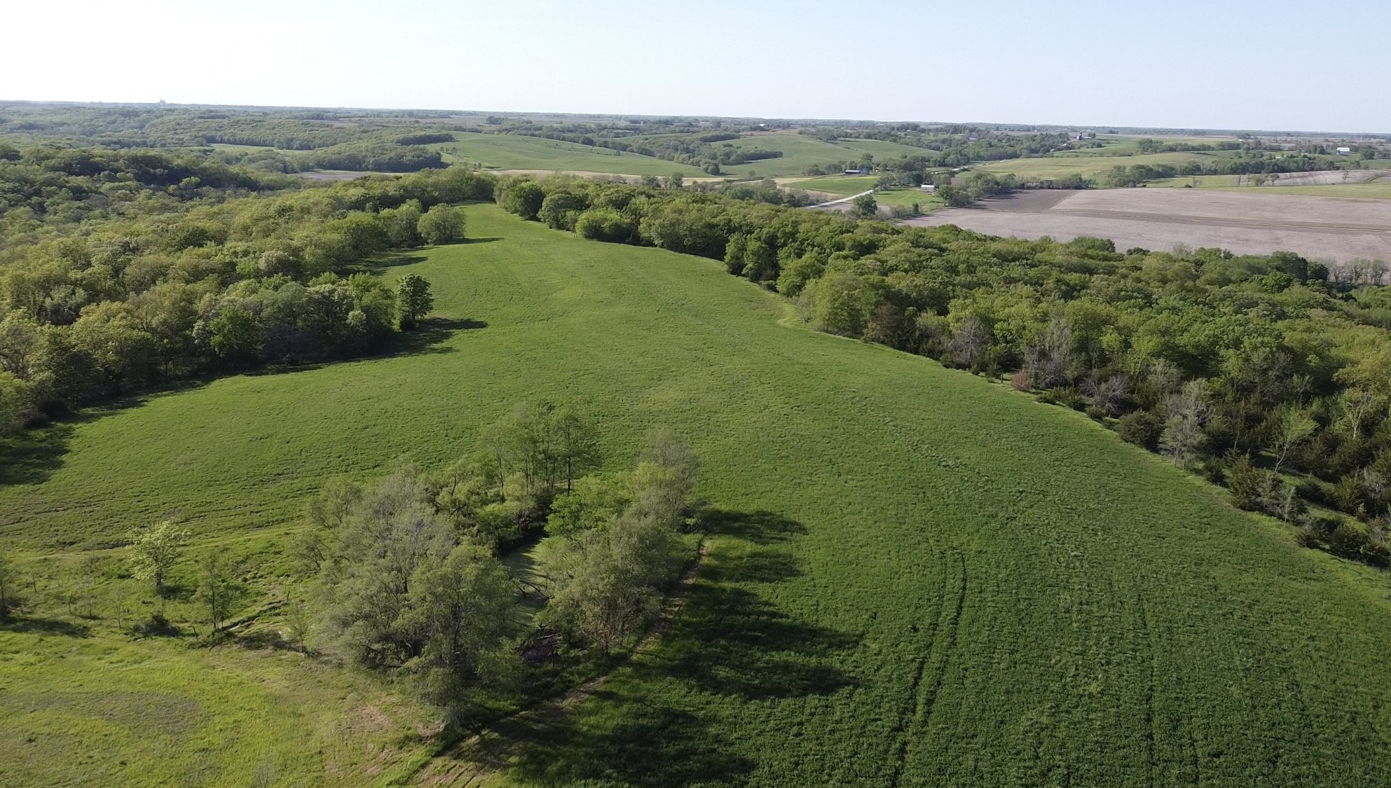 2000 145th Lane, Earlham, Iowa image 1