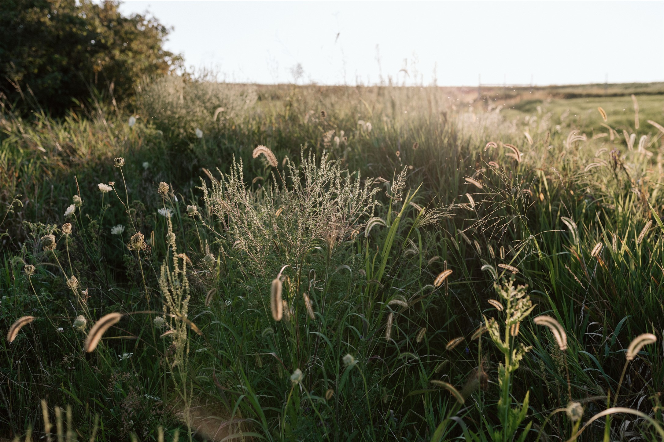 108 Windmill Loop, Cumming, Iowa image 35