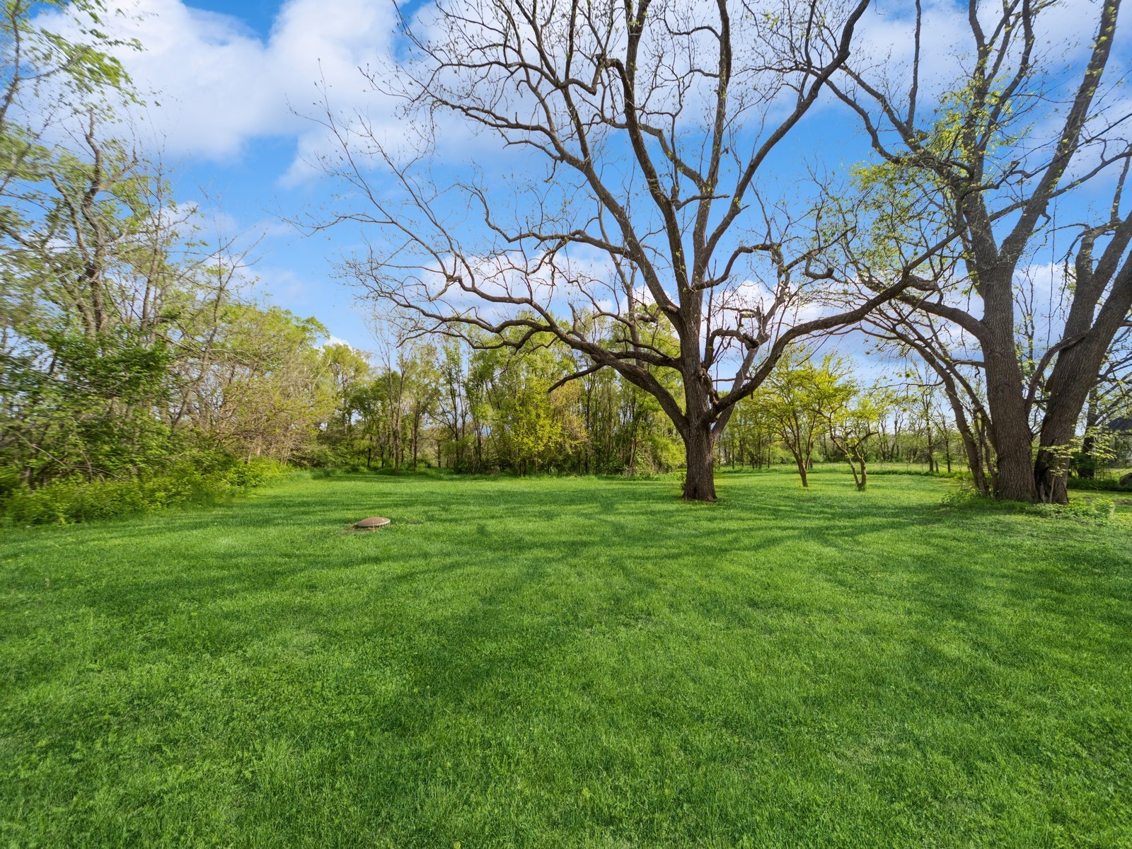 22144 Midland Trail, Minburn, Iowa image 8