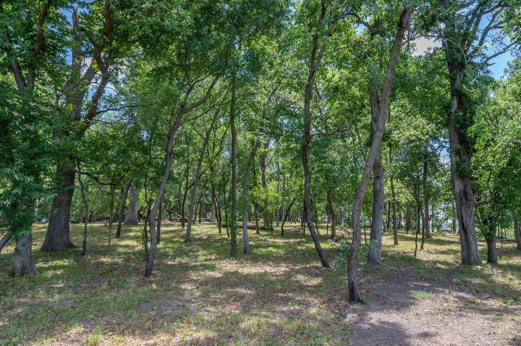 Parcel C Land, Mingo, Iowa image 13