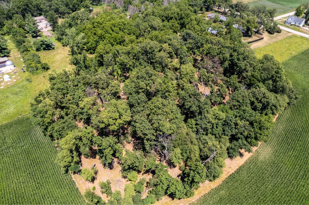 Parcel C Land, Mingo, Iowa image 3