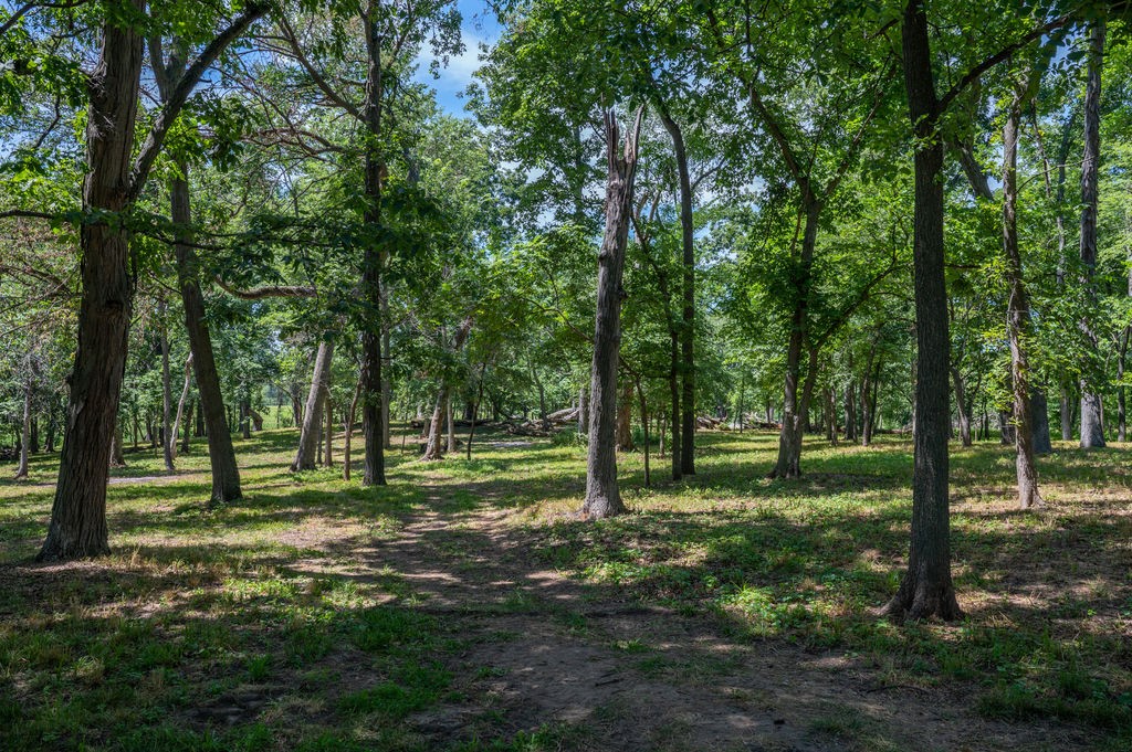 Parcel C Land, Mingo, Iowa image 9