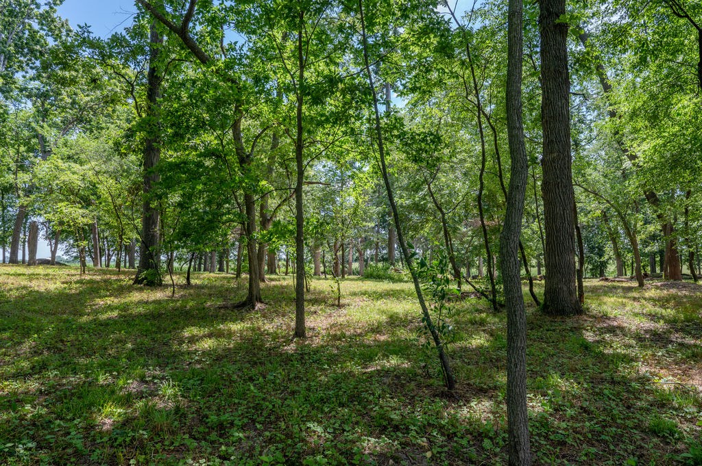 Parcel C Land, Mingo, Iowa image 12