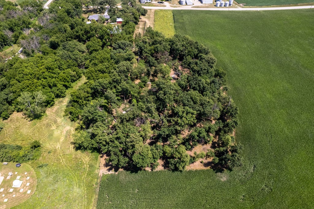 Parcel C Land, Mingo, Iowa image 6