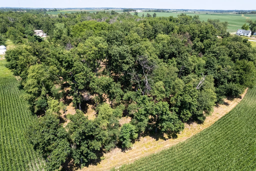 Parcel C Land, Mingo, Iowa image 4