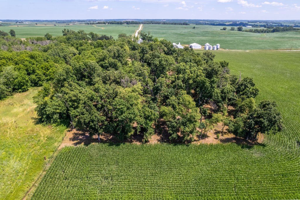 Parcel C Land, Mingo, Iowa image 5