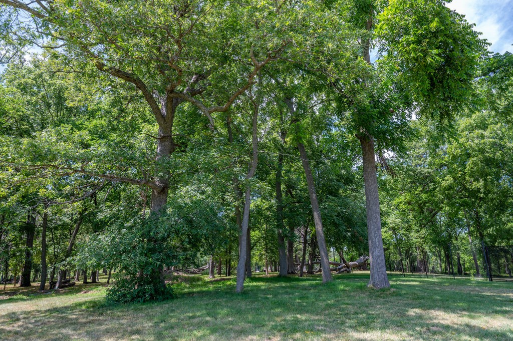 Parcel C Land, Mingo, Iowa image 19