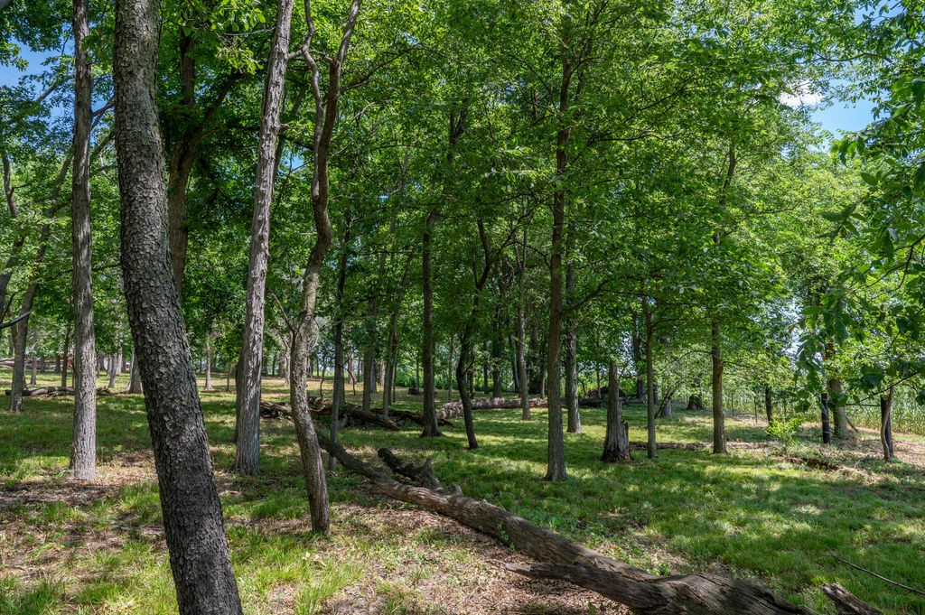 Parcel C Land, Mingo, Iowa image 16