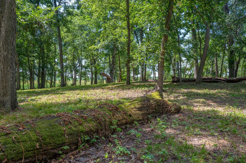 Parcel C Land, Mingo, Iowa image 17