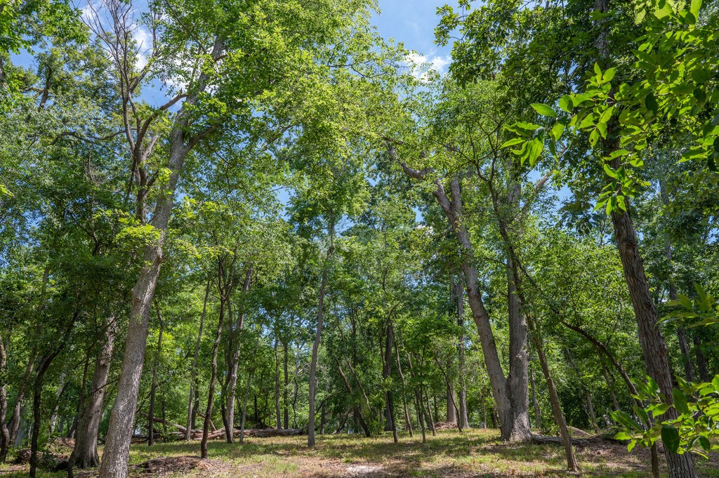 Parcel C Land, Mingo, Iowa image 14