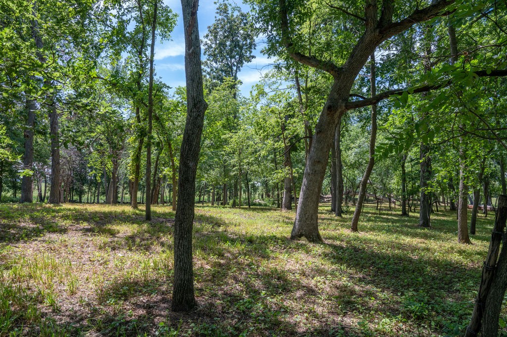 Parcel C Land, Mingo, Iowa image 11