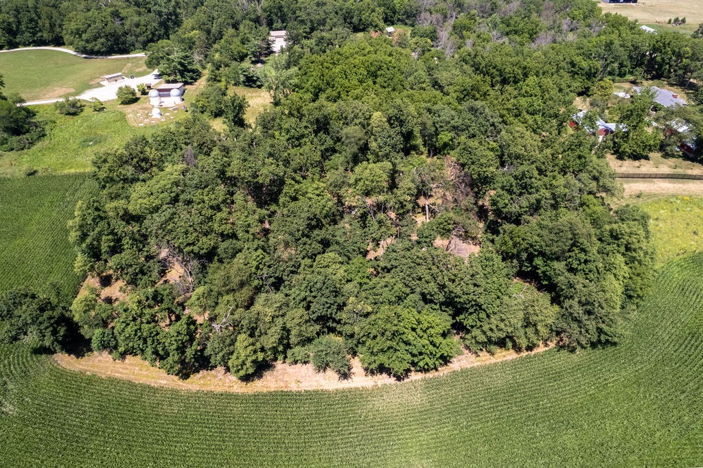 Parcel C Land, Mingo, Iowa image 2