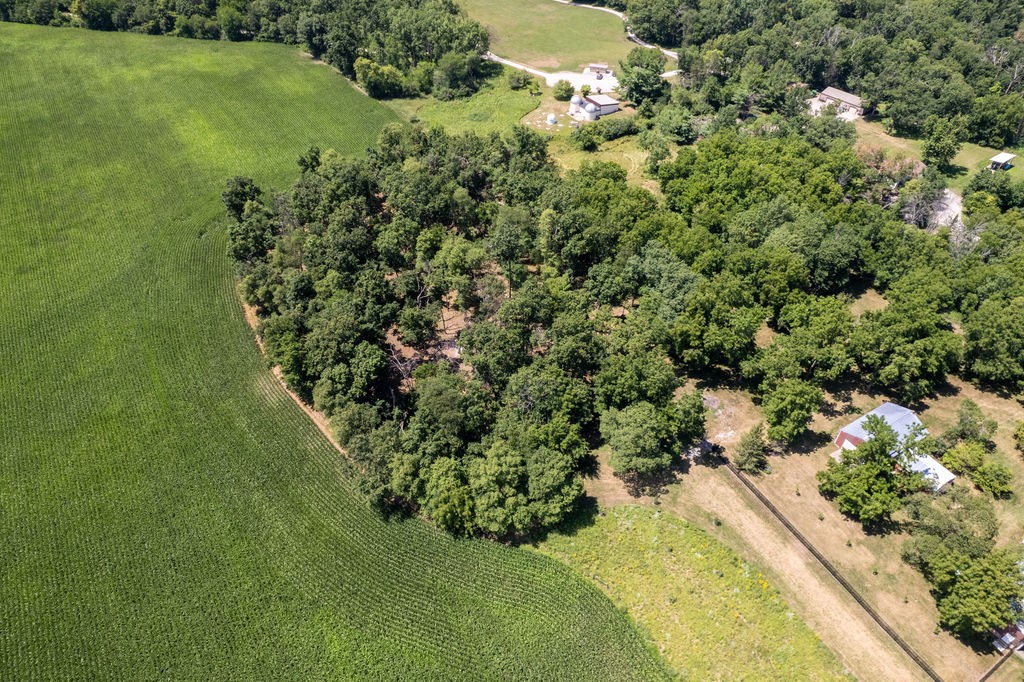 Parcel C Land, Mingo, Iowa image 7