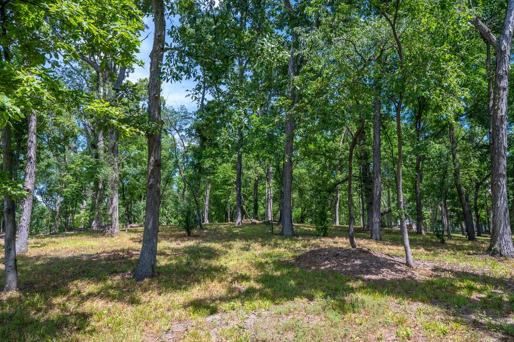 Parcel C Land, Mingo, Iowa image 15