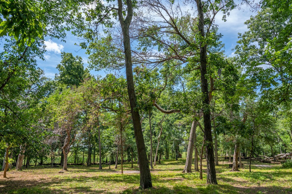 Parcel C Land, Mingo, Iowa image 18