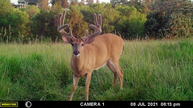 1849 Fox Trail, Winterset, Iowa image 32