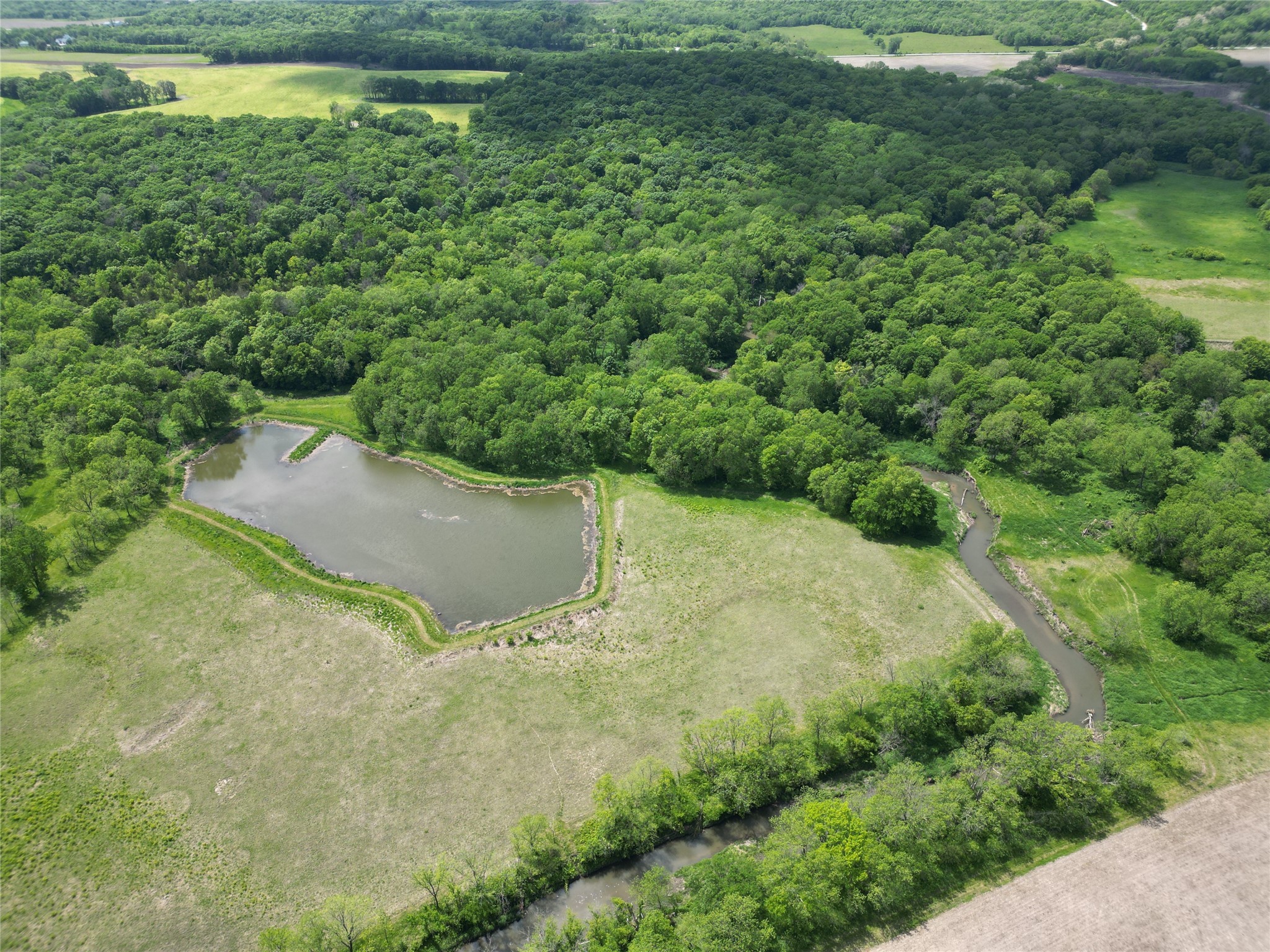 115 Acres M/l 1399 Hogback Bridge Road, Earlham, Iowa image 7