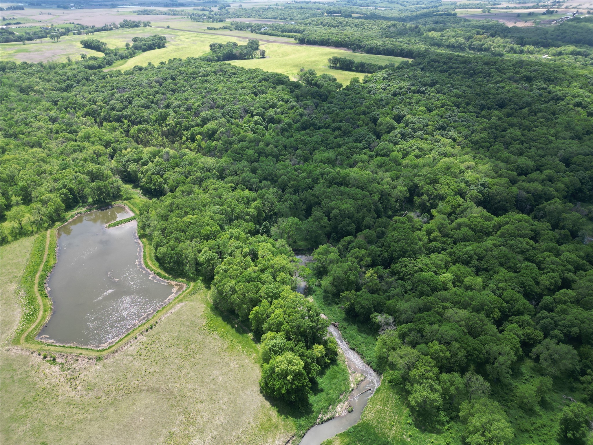 115 Acres M/l 1399 Hogback Bridge Road, Earlham, Iowa image 9