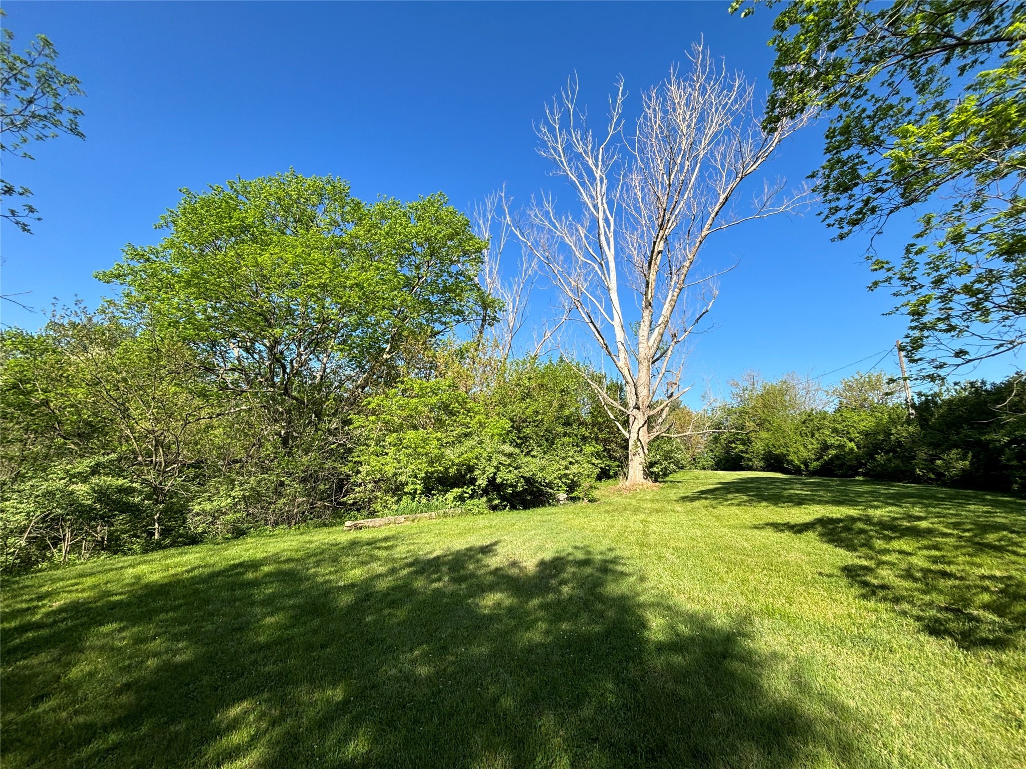 14216 Green Drive, Perry, Iowa image 17