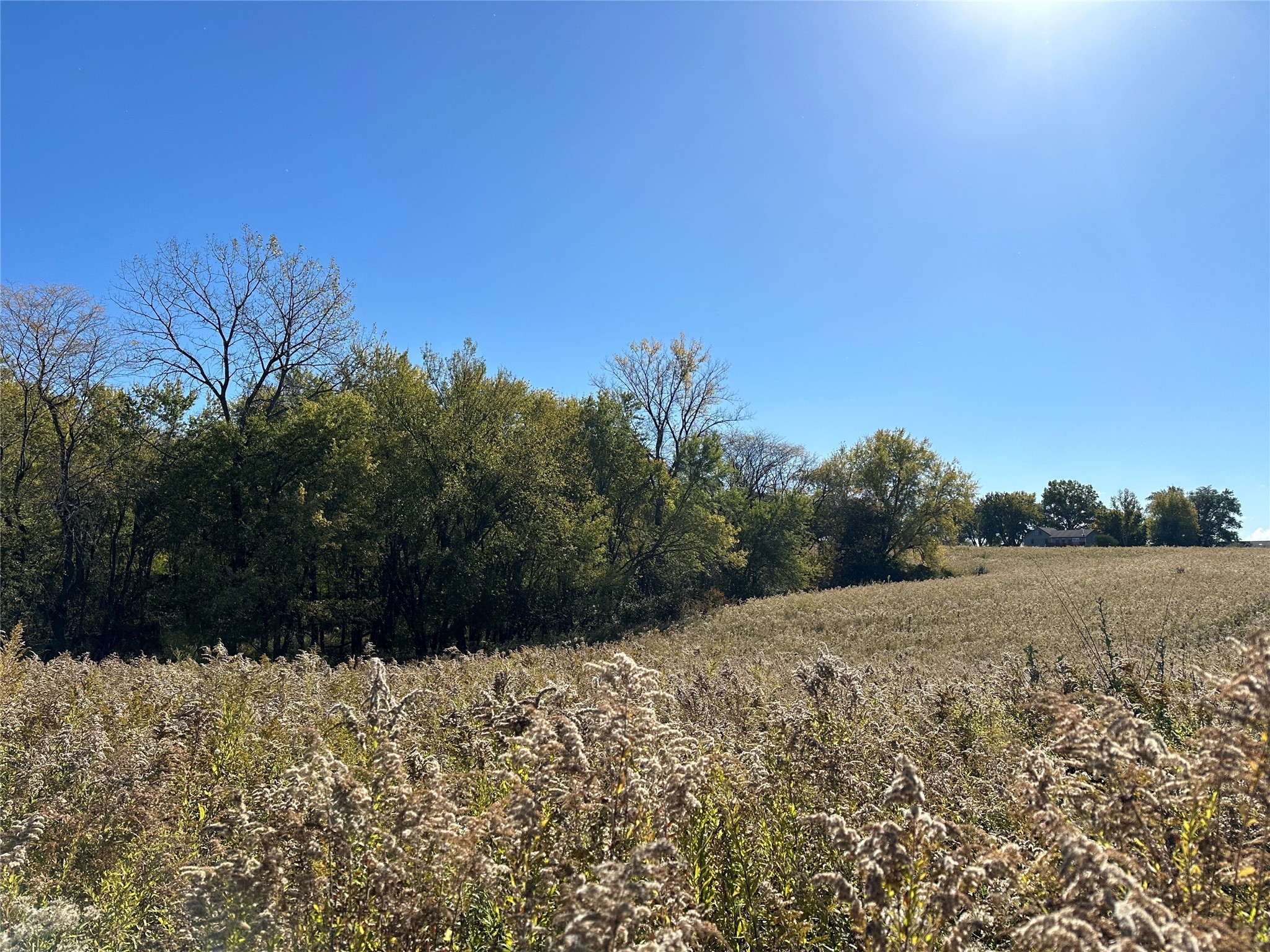 999 Mcgregor Drive, Knoxville, Iowa image 9