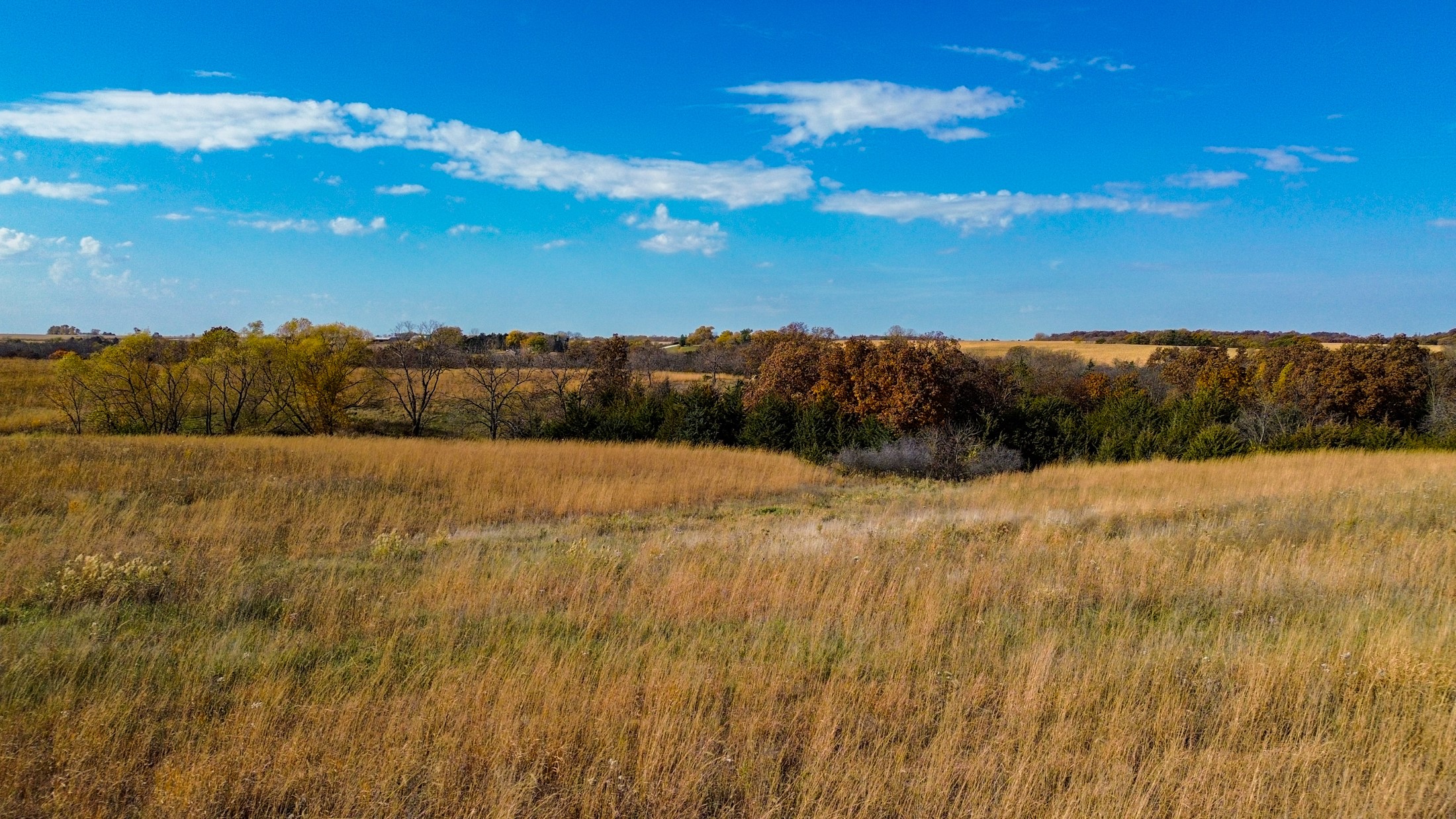 1 Hogback Bridge Road, Earlham, Iowa image 3
