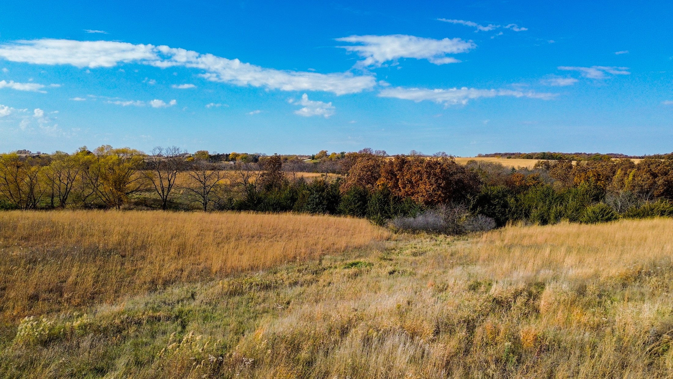 1 Hogback Bridge Road, Earlham, Iowa image 4