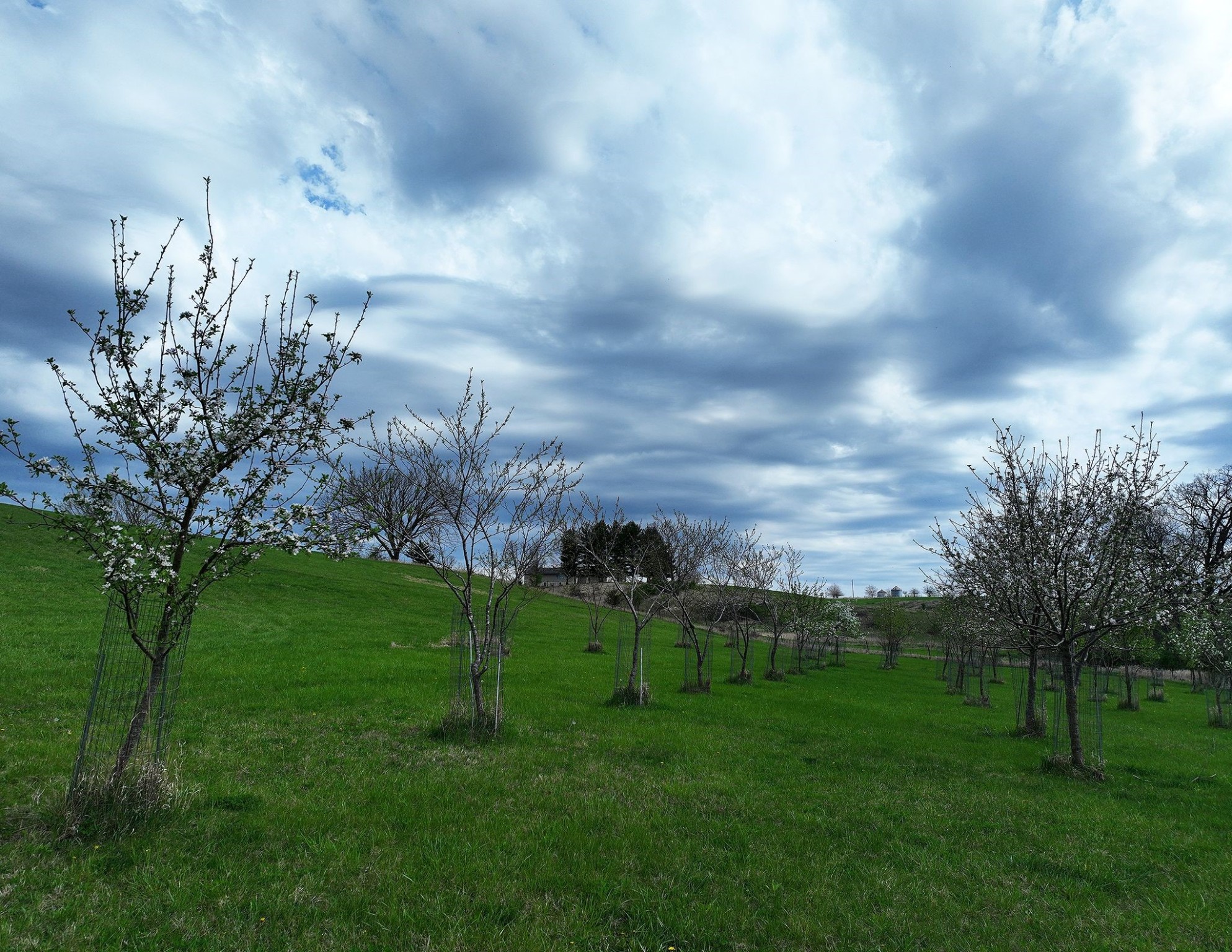 25095 490th Street, Chariton, Iowa image 23