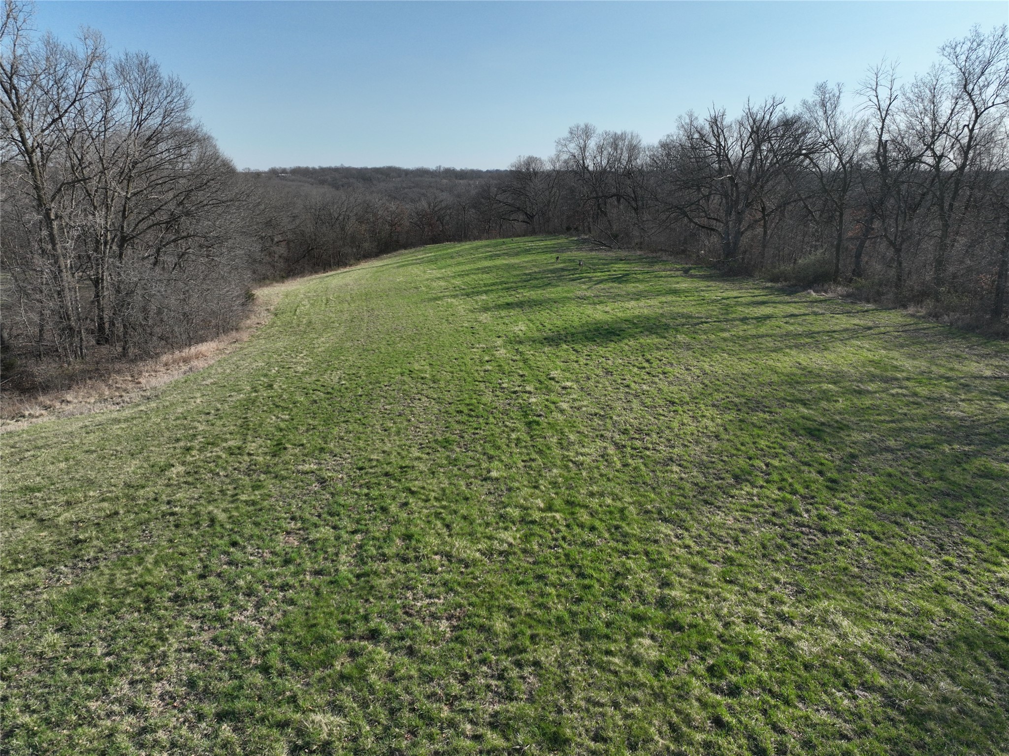 208th Avenue, Ottumwa, Iowa image 6
