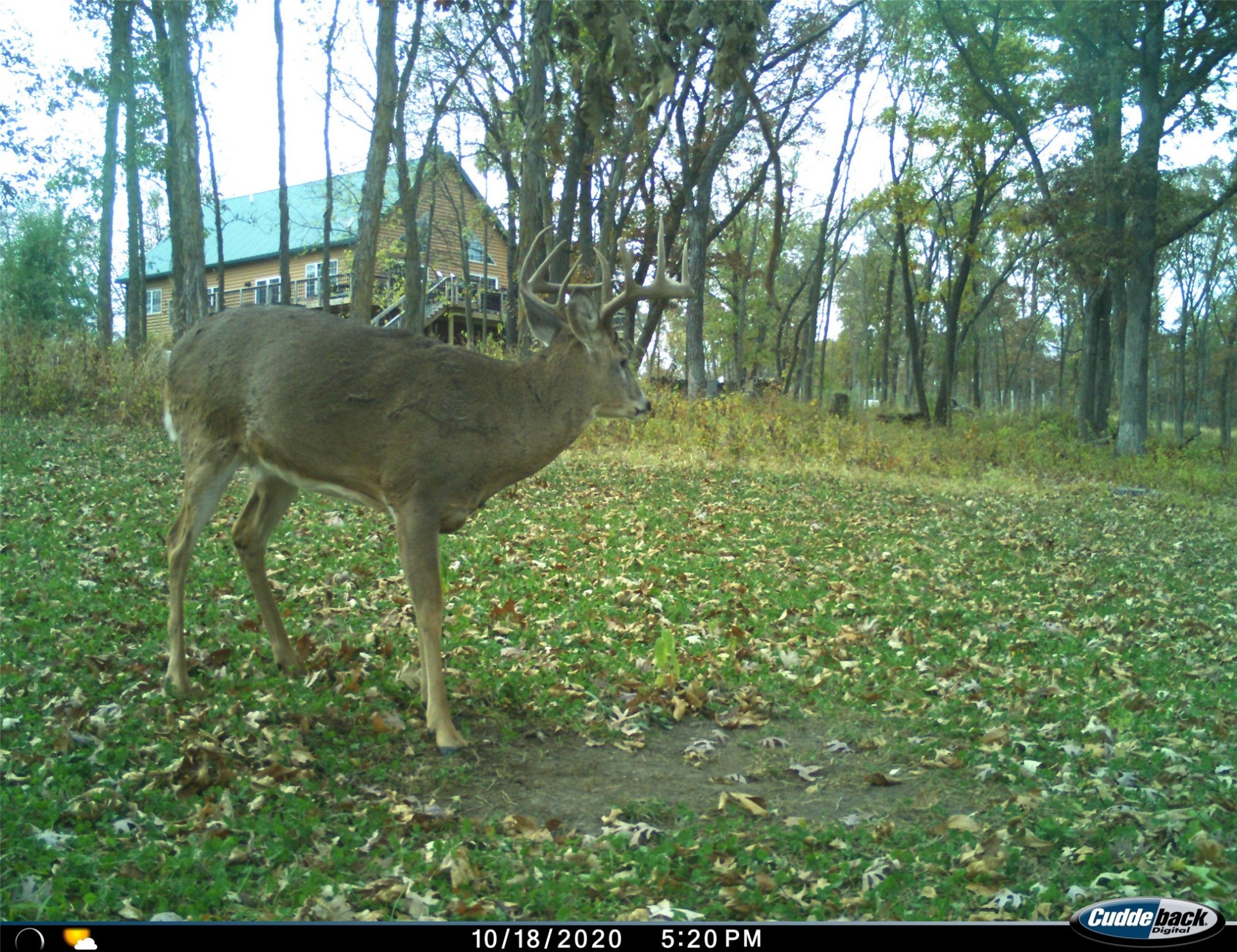 2732 Setters Trail, Saint Charles, Iowa image 32