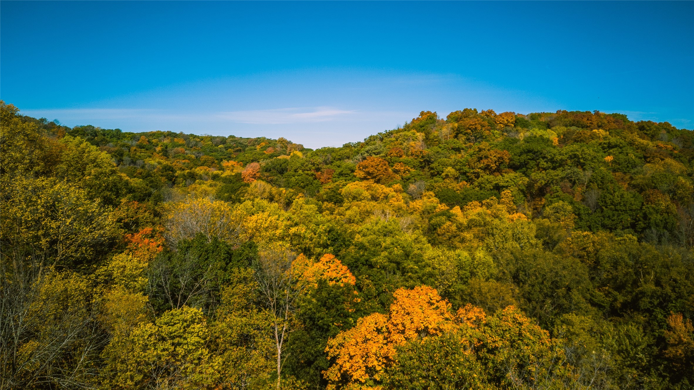 445 Juniper Road, Pilot Mound, Iowa image 14