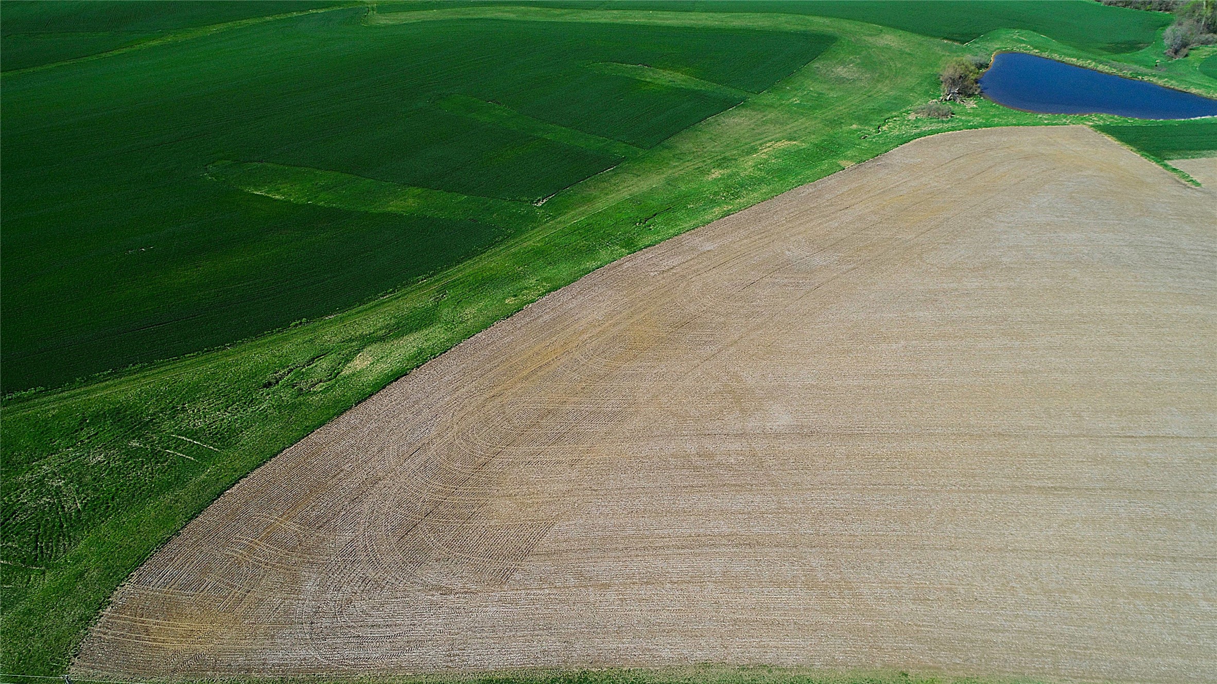 01 Kennedy Street, Prole, Iowa image 14