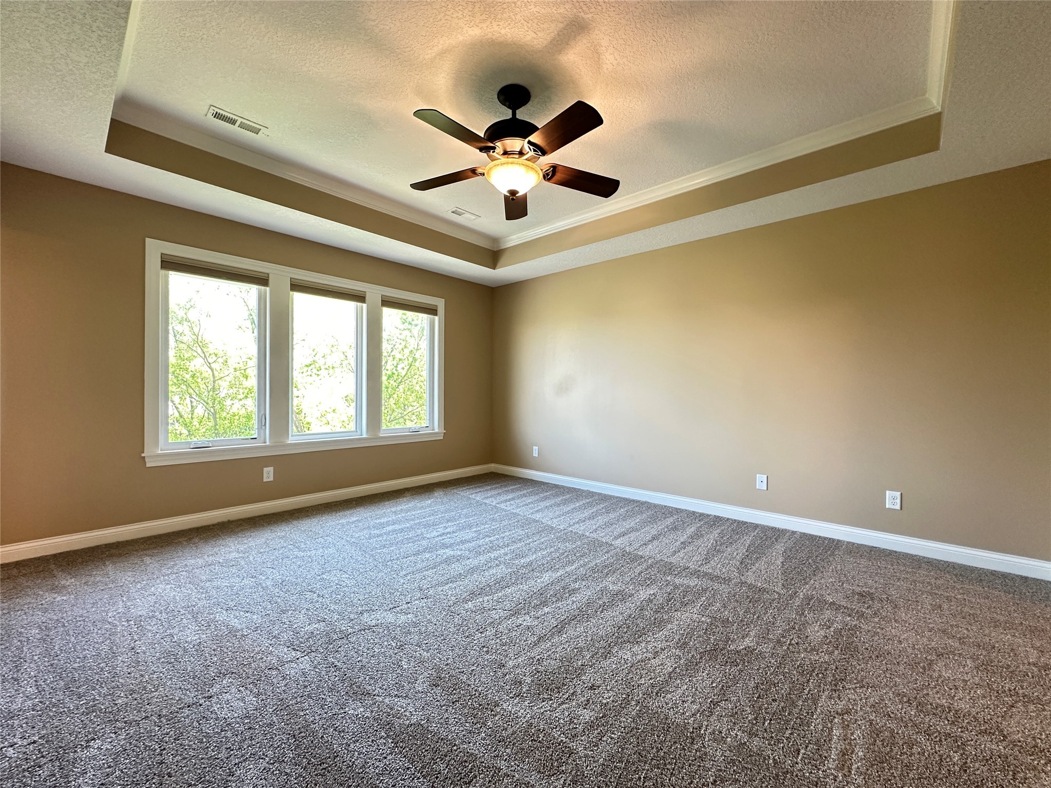 909 NE Williamsburg Court, Ankeny, Iowa image 18
