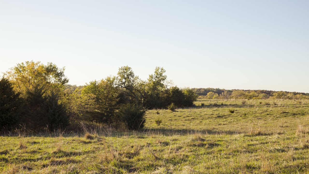 0000 Lineville Road, Lineville, Iowa image 15