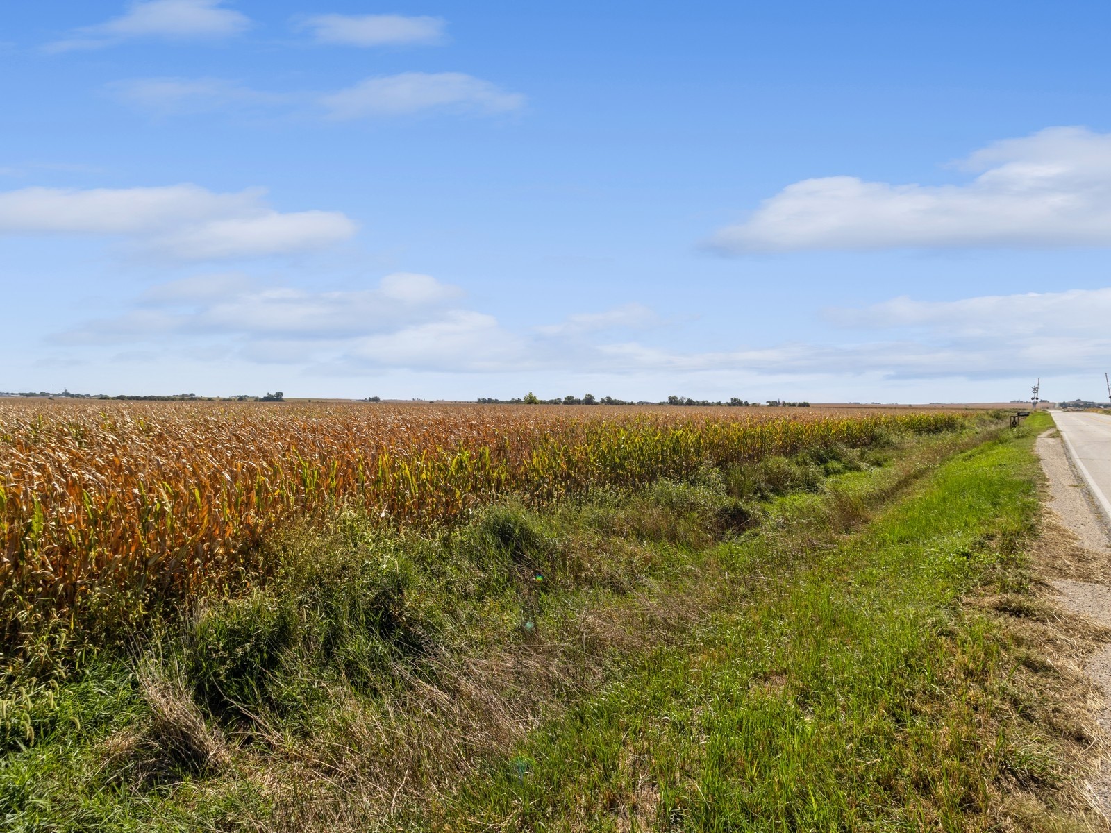 Quail Avenue, Carroll, Iowa image 7